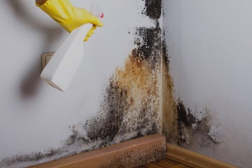 ازالة الصبغ القديم من المنازل (1)